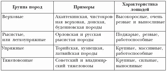 Рост высота в холке современной лошади составляет от 50 до 185 см она весит - фото 2