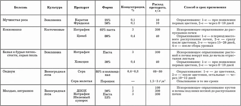 Фенология садовых деревьев Регулярные наблюдения за фенофазами плодовых и - фото 25
