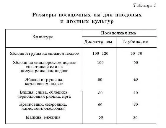 При копке ямы в глинистой почве дно и стенки заглянцовываются лопатой и через - фото 16