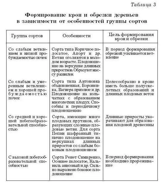Формирование обрастающих ветвей Все ветви развивающиеся на главных ветвях - фото 33