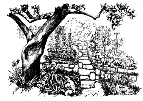 Рис 30 Участок с прямыми дорожками мощенными природным камнем Они должны - фото 31