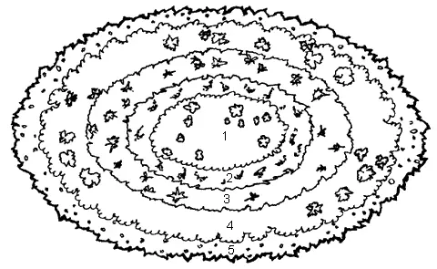 Рис 47 продолжение II овальная клумба 1 бархатцы 2 амарант 3 - фото 50