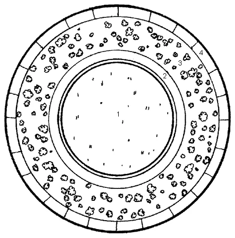 Рис 47 продолжение II овальная клумба 1 бархатцы 2 амарант 3 - фото 51