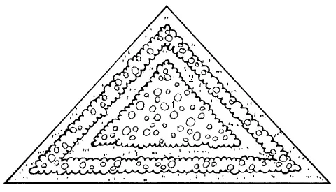 Рис 47 продолжение II овальная клумба 1 бархатцы 2 амарант 3 - фото 52