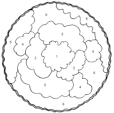 Рис 48 I весенняя клумба из теневыносливых растений 1 дицентра - фото 53