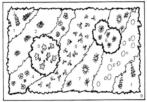 Рис 50 Ковровая клумба из однолетников 1 вербена 2 цинния 3 - фото 56