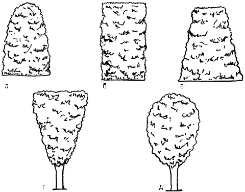 Рис 58 Стрижка кустарников живой изгороди а б в правильная г д - фото 68