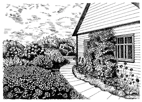 Рис 61 Цветник и вертикальное озеленение у дома Для вертикального озеленения - фото 71