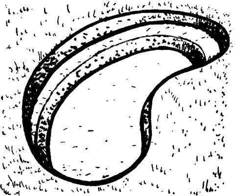 Рис 63 Терраса для прибрежных растений На следующем этапе необходимо - фото 73