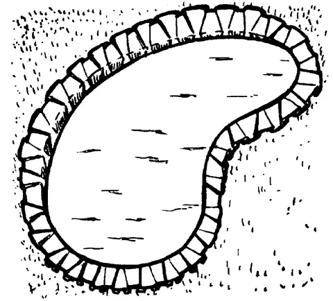 Рис 65 Оформление края пруда После того как строительство пруда будет - фото 75
