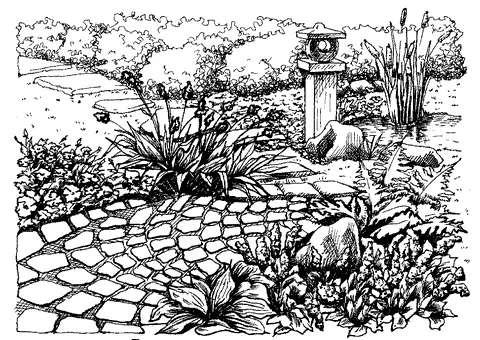 Рис 66 Декоративный водоем Отличительным признаком глубоководных растений - фото 76