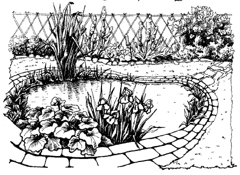 Рис 66 Декоративный водоем Отличительным признаком глубоководных растений - фото 77