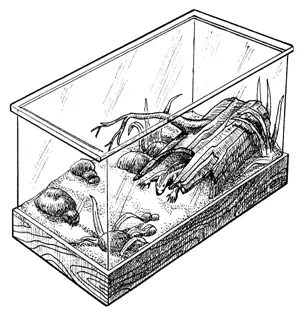 В террариуме обязательно следует сделать укрытия для животных Грунт - фото 10