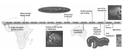 Примерную картину в буквальном смысле хронологии развития артикуляторного - фото 1