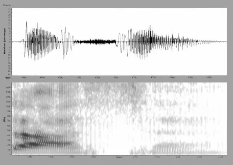 Рис 14 ТАСÁ Рис 15 ТÁТА Рис 16 ТАТÁ Рис 17 ТÁКА - фото 23