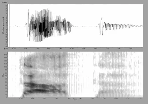 Рис 15 ТÁТА Рис 16 ТАТÁ Рис 17 ТÁКА Рис 18 ТАКÁ - фото 24