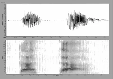 Рис 16 ТАТÁ Рис 17 ТÁКА Рис 18 ТАКÁ Рис 19 ТÁПА - фото 25