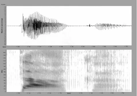 Рис 17 ТÁКА Рис 18 ТАКÁ Рис 19 ТÁПА Рис 20 ТАПÁ - фото 26
