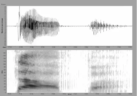 Рис 18 ТАКÁ Рис 19 ТÁПА Рис 20 ТАПÁ Глава третья Партикулы славянского - фото 27