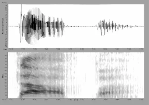 Рис 19 ТÁПА Рис 20 ТАПÁ Глава третья Партикулы славянского пространства - фото 28