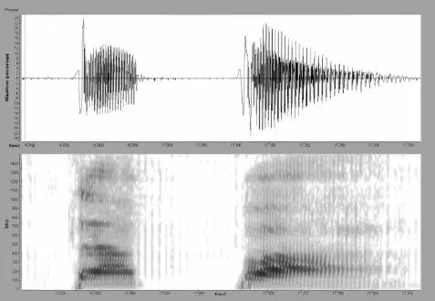 Рис 20 ТАПÁ Глава третья Партикулы славянского пространства 1 Некоторые - фото 29