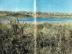 Перемена погоды смена людского состава смена собак временами наезды гостей - фото 32