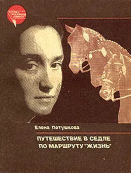 Елена Петушкова - Путешествие в седле по маршруту Жизнь