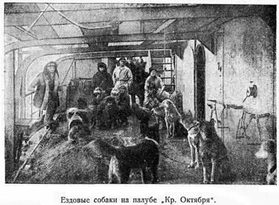 Чукчи совершают на собаках продолжительные длинные на сотни верст переезды - фото 6