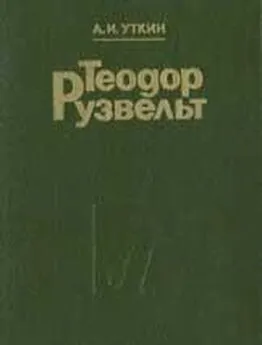 Анатолий Уткин - Теодор Рузвельт. Политический портрет