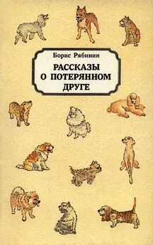 Борис Рябинин - Рассказы о потерянном друге