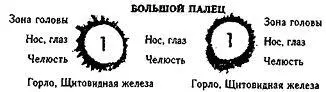 Жизнь напрокат - фото 2