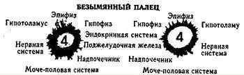Кирлианы заметили что у людей фотографирующихся на цветную пленку различные - фото 5