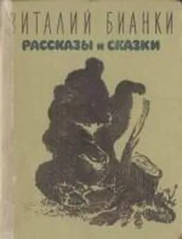 Виталий Бианки - Рассказы и сказки с иллюстрациями