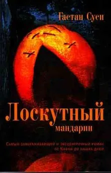 Гаетан Суси - Лоскутный мандарин