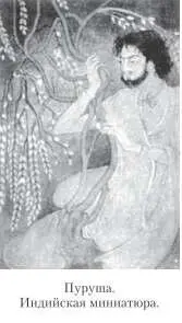 В ведийском гимне Пуруше говорится что из тела первочеловека Из этой жертвы - фото 8