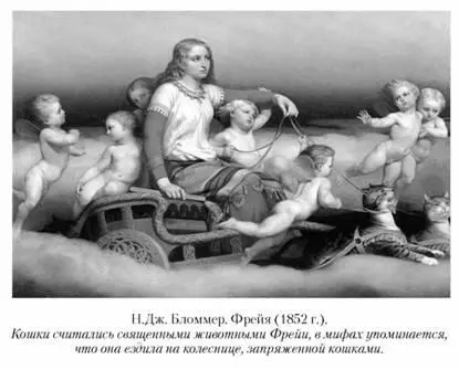 Кроме того в числе богов иногда упоминаются морской великан Эгир и его супруга - фото 227