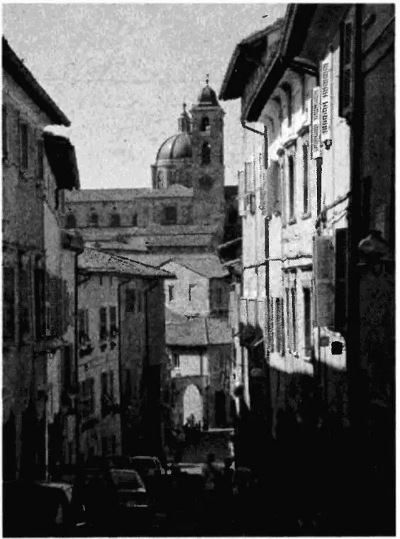 Рис 24 Улицы Урбино Фотография 2007 года Рис 25 Центральная улица - фото 24