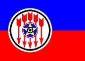 Молли Магвайрс США ММ Организация которая существовала в угольных - фото 25