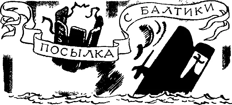 Посылка с Балтики Это произошло в первую мировую воину Ветреным ноябрьским - фото 49