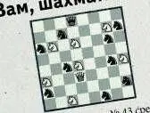 ЗаданиеВ результате ошибки укладчицы 43 среди фигур ваших новых шахмат - фото 10