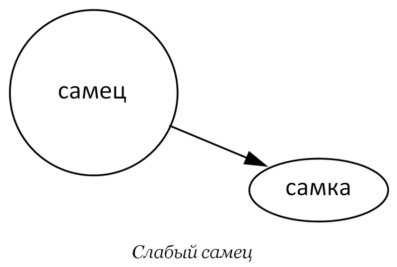 На самом деле нормальный самец стремится осеменить как можно больше самок - фото 1