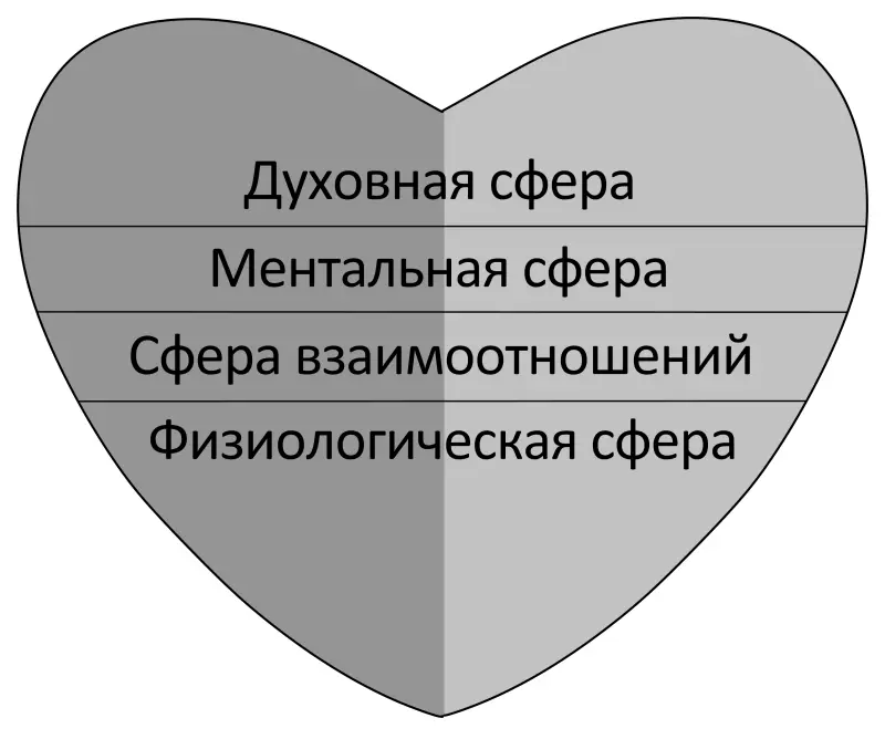 Благодаря воздействиям окружения на ТиСС женский мозг получает импульсы в - фото 15