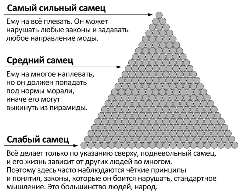 Обратите внимание на организацию какой угодно фирмы Учредитель её старается - фото 2