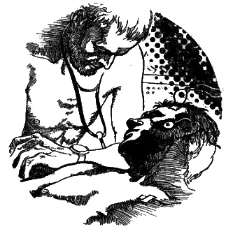 Мы экспериментаторы и мы кролики Наконец мы переменили обстановку вернее - фото 5