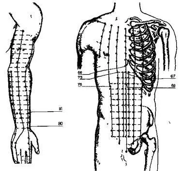 Рис 64Акупунктурные точки при икоте При икоте для массажа используют - фото 74