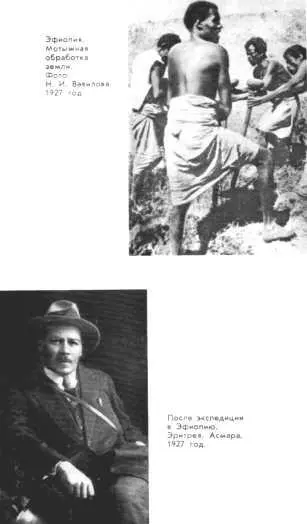 Натыкаясь на них лошадь нервно вздрагивала замирала на миг и с громким - фото 9