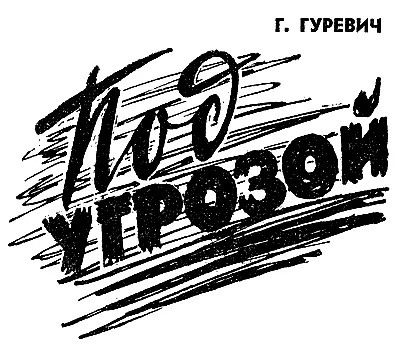 29 октября под вечер Мэтью выступал на осеннем празднике вина и винограда - фото 12
