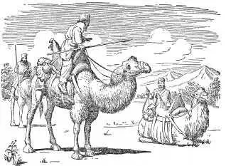 Персидские воины на верблюдах Не все цари персов были воинственными Тот же - фото 274