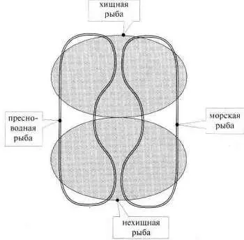 Рис 108 Обобщим сказанное Род может делиться на виды в нескольких аспектах - фото 135