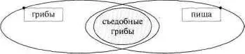 Рис 164а Решение нас 269 ЗДЦДЧА И Представьте на л огикографической схеме - фото 208